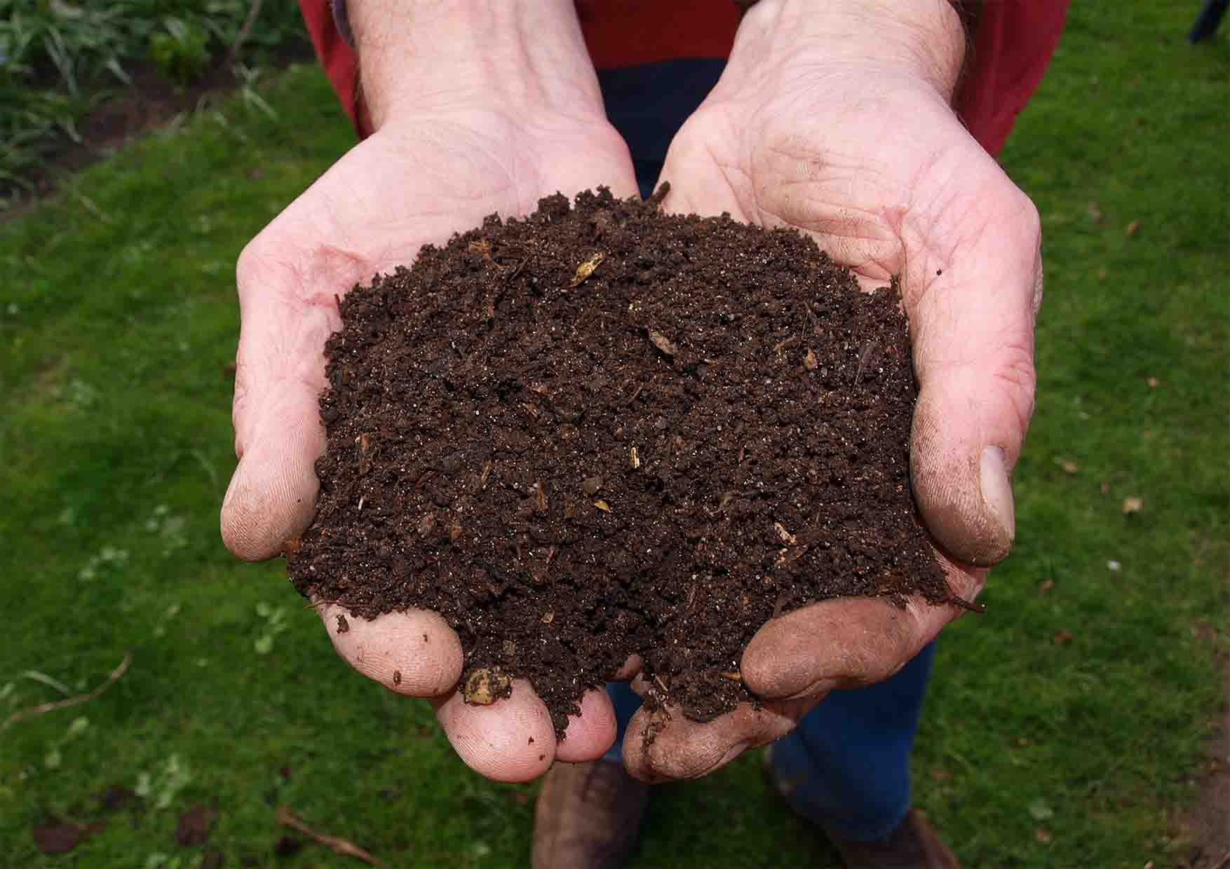 Carrot pump Compost Fertilizer